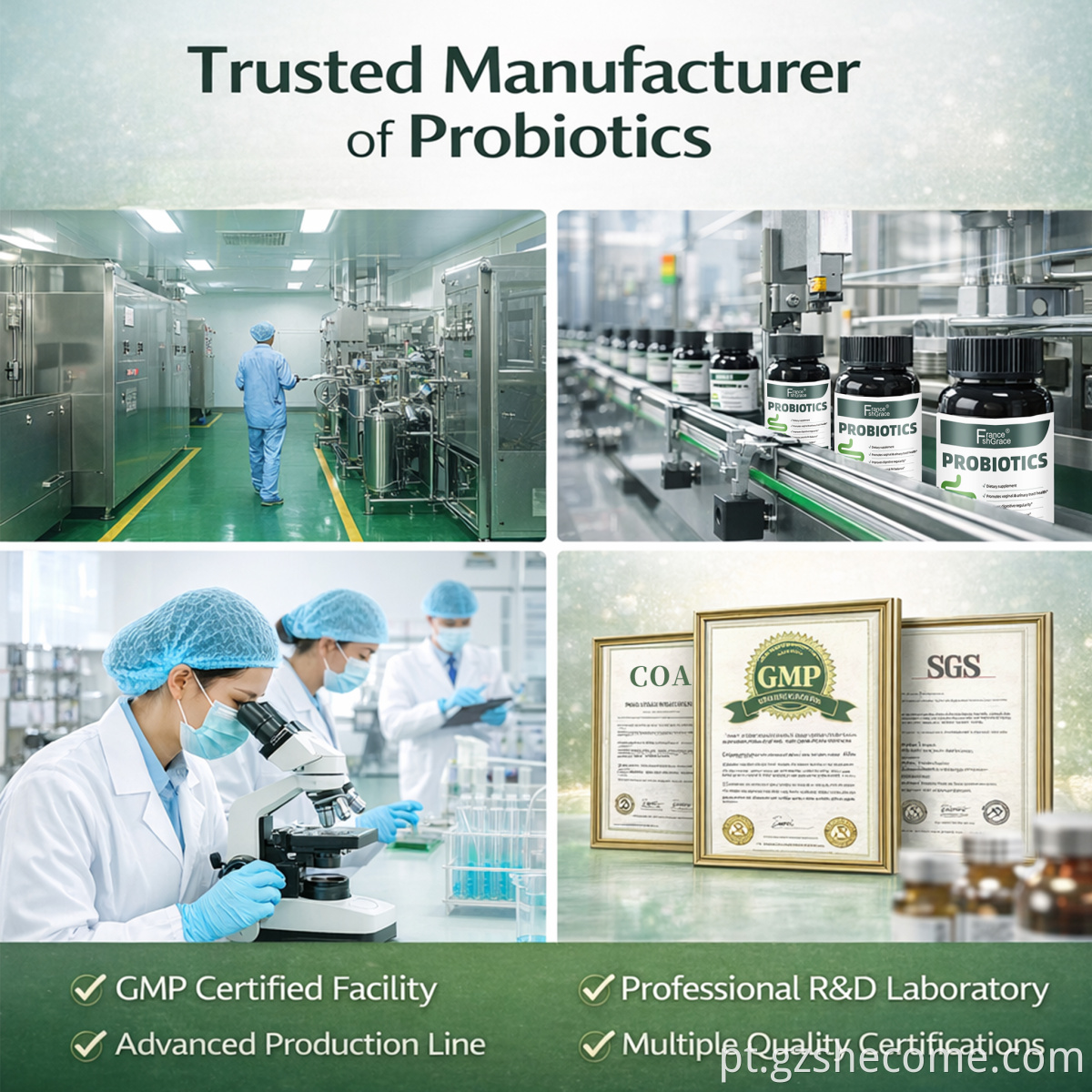 Probiotic Capsules9